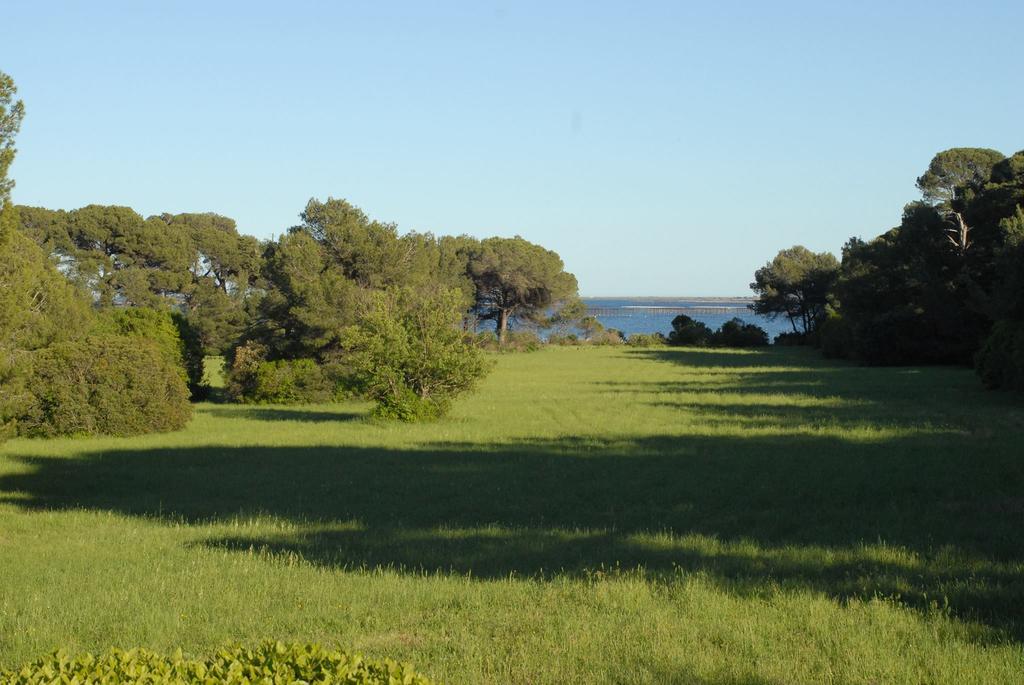 La Bellonette Marseillan (Herault) Exterior foto